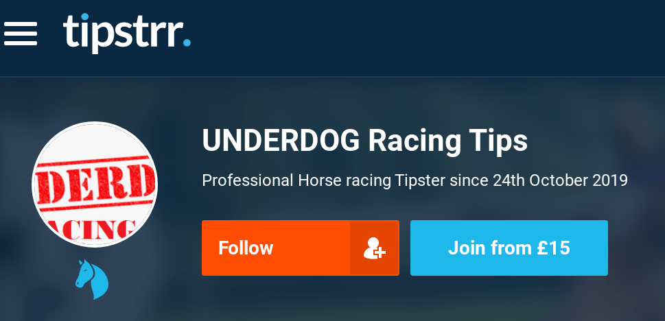 Underdog Racing Tips