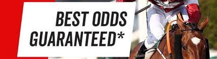 virginbet bog prices